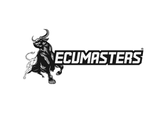 EcuMasters Chip Tuning Hizmeti